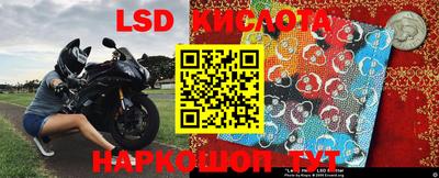 амф Донской