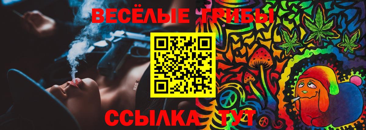 Галлюциногенные грибы MAGIC MUSHROOMS Луга