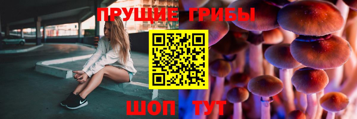 Луга  купить наркотики цена  Вход с VPN  Псилоцибиновые грибы прущие грибы 