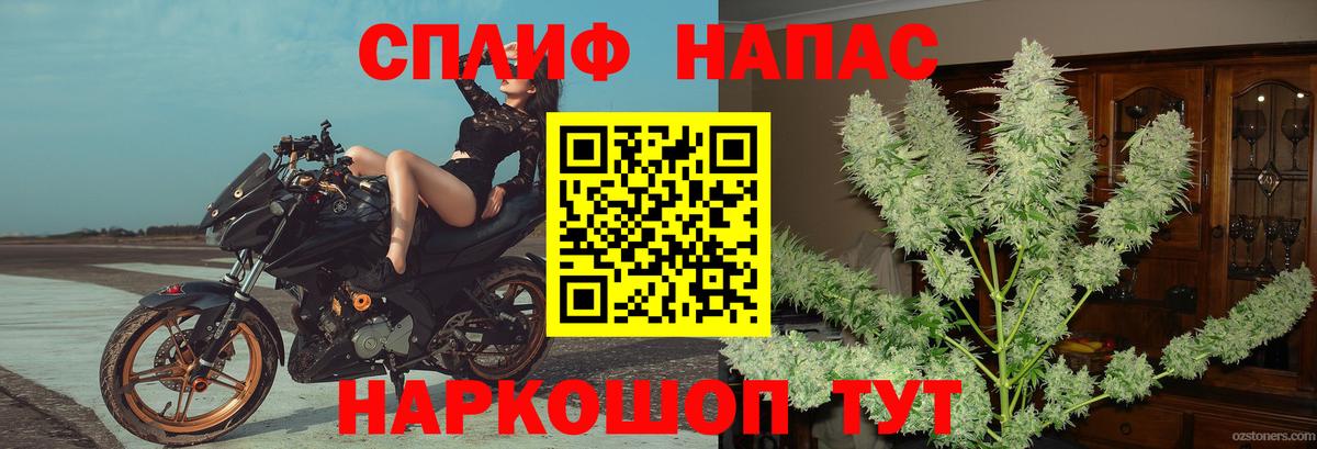 Луга  Бошки Шишки конопля  Конопля конопля  Вход с VPN 
